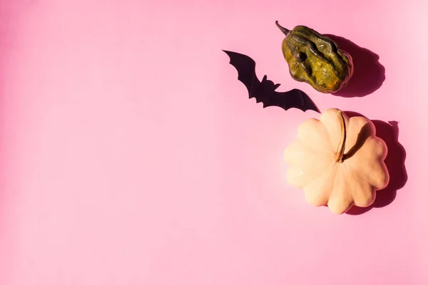 Halloween-Kürbis und Fledermaus auf trendy rosa Farbe — Stockfoto
