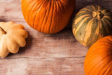 Farklı balkabaklarıyla sonbahar sakin bir hayat