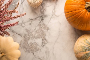 Sonbahar hasat çerçevesi arkaplanı