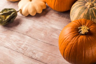 Farklı balkabaklarıyla sonbahar sakin bir hayat