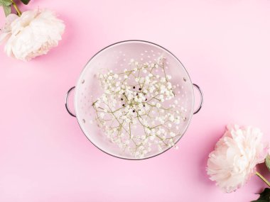 Beyaz çiçekli pembe süzgeç. Düz yatıyordu