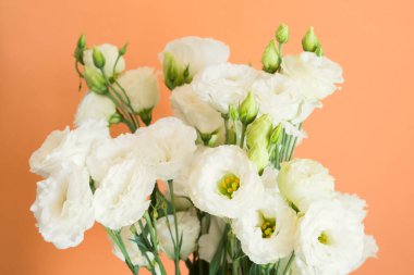 Kavun ve turuncu arka planda güzel bir çiçek buketi. Moda tasarım arka planı