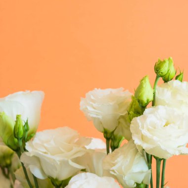 Turuncu üzerine güzel bir çiçek buketi.