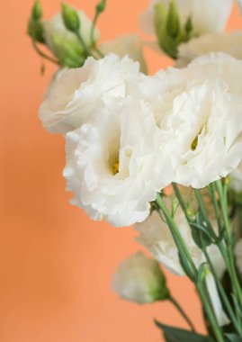 Turuncu üzerine güzel bir çiçek buketi.