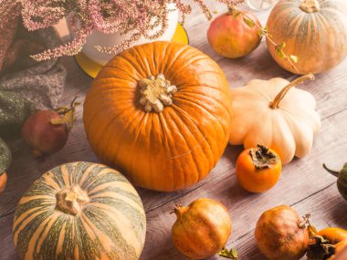 Sonbahar Şükran Günü hala balkabaklarıyla dolu.