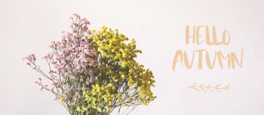 Beyaz vazoda kurumuş pembe ve sarı çiçekler.