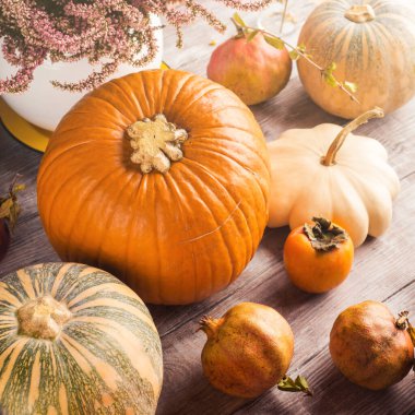 Sonbahar Şükran Günü hala balkabaklarıyla dolu.