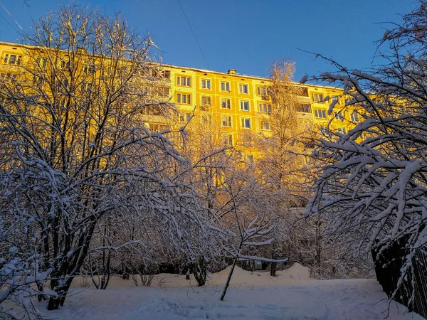 Zimní Krajina Stromy Pokryté Sněhem Husté Sněžení Poblíž Městské Budovy — Stock fotografie