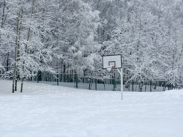 Basketbal Opěradlo Poblíž Forest Park Pokryté Sněhem Husté Sněžení Stock Fotografie