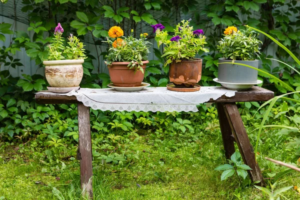 Fiori Cashto Piedi Una Panca Legno Come Elemento Decorativo Del — Foto Stock