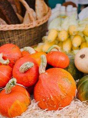 Sonbaharda tarım pazarında taze ve sağlıklı biyolojik balkabaklarının çeşitliliği.