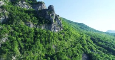 Yoğun yeşil ormanı olan bir dağın yakınındaki kalkış kamerası.