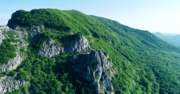 緑の木々に囲まれた岩肌の山の鳥目から飛ぶドローン — ストック動画