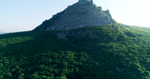 Caméra Drone Vole Vers Une Montagne Ruine Dessus Une Forêt — Video