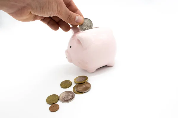 Pink Piggy Bank Money Stock Image