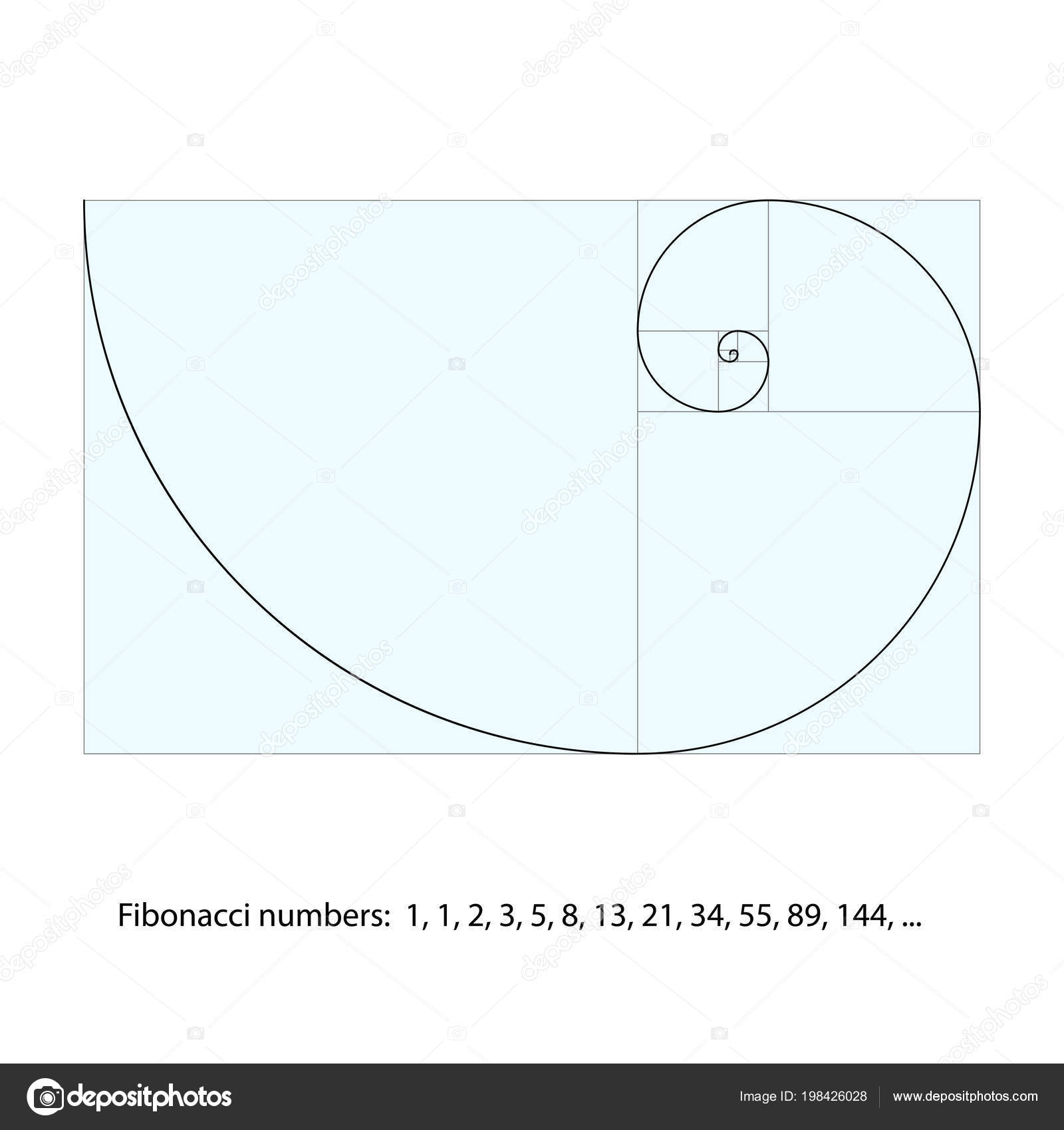 Golden Ratio Template Fibonacci Spiral Vector Illustration ... Golden Ratio Template Fibonacci Spiral Vector Illustration ...