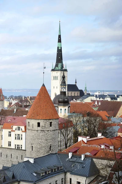 Tallinn Estland Mai 2018 Blick Auf Die Altstadt Mit Ziegeldächern — Stockfoto