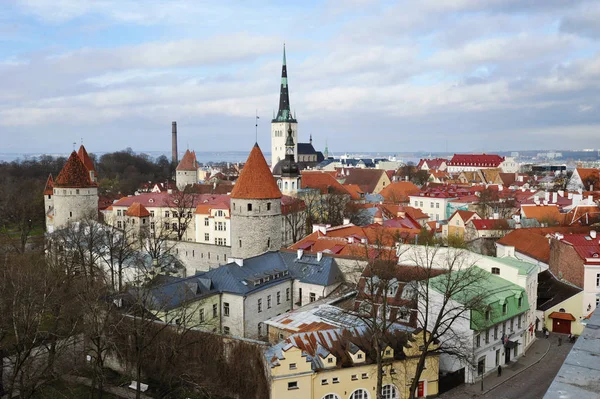 タリン エストニア 2018 タイルを張られた屋根の旧市街の眺め — ストック写真