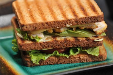 karanlık bir arka plan - çekim portre üzerinde bir tabakta tavuk göğsü ile kare sandviç