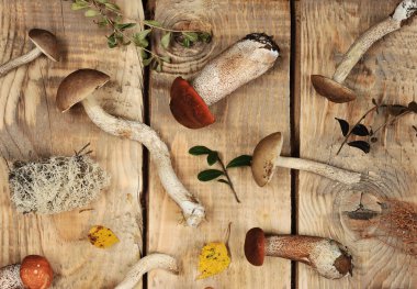 bir ahşap rustik arka - sonbahar hasat mantar, mantar, yaprakları, yosun - üstten görünüm 