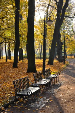 düşen yapraklar ve bir Bank ile Sonbahar Park