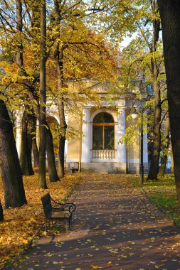 St. Petersburg Mikhailovsky bahçesinde düşmüş yaprakları ile Sonbahar Park Carlo Rossi Pavyonu