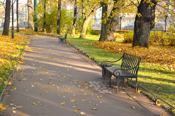 Jesienny Park Opadłych Liści Ławki — Zdjęcie stockowe