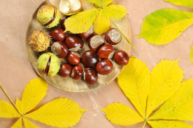 kestane ile Akçaağaç Sonbahar yaprakları - at kestanesi - üstten görünüm