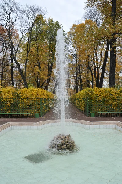 San Petersburgo Rusia Octubre 2018 Fuente Otoño Jardín Verano San —  Fotos de Stock