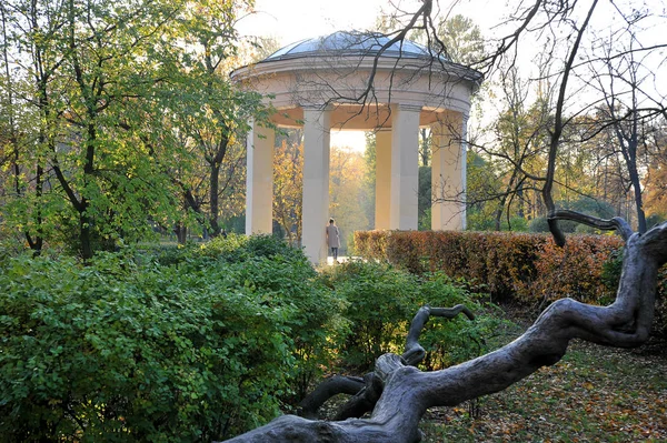 Paesaggio Autunnale Parco Con Foglie Cadute Strappi Rotonda — Foto Stock