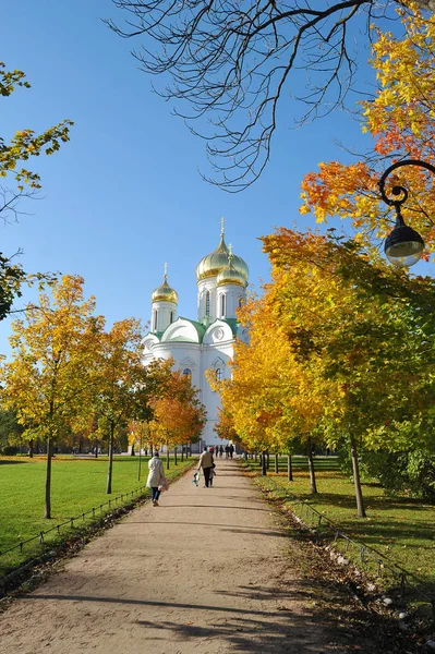 Pushkin Russia Ottobre 2018 Cattedrale Della Chiesa Ortodossa Caterina Pushkin — Foto Stock