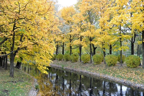 Jesienny Park Sankt Petersburgu Rosja — Zdjęcie stockowe