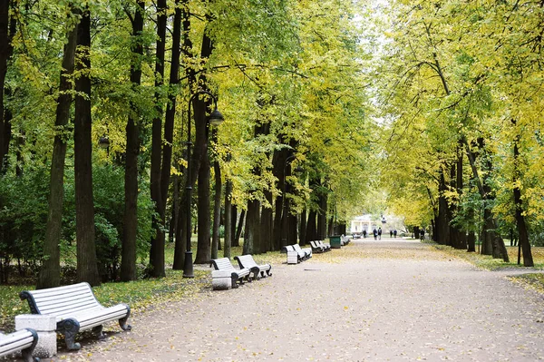 Golden Autumn Park Petersburg Russia — 스톡 사진