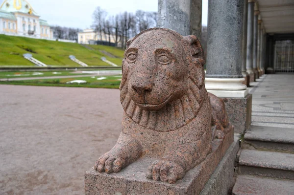 Petersburg Rusya Federasyonu Kasım 2018 Aslan Heykel Peterhof Parkında — Stok fotoğraf