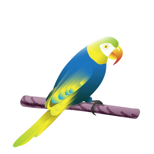 Papagei Vogel Vektor Illustration — Stockvektor