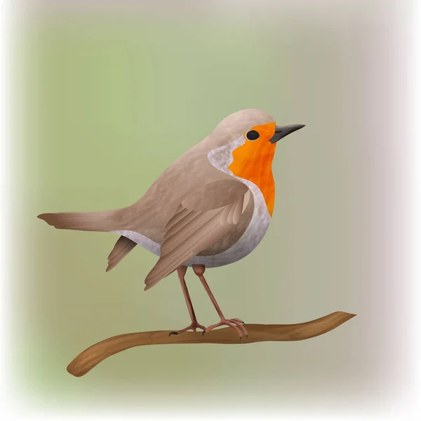 Robin Fågel Vektorillustration — Stock vektor