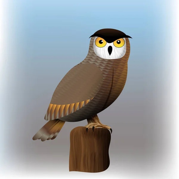 Owl Fågel Vektorillustration — Stock vektor