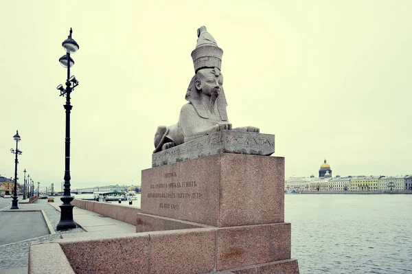 Granit Sphinx Nabrzeżu Newy Sankt Petersburgu Rosja — Zdjęcie stockowe