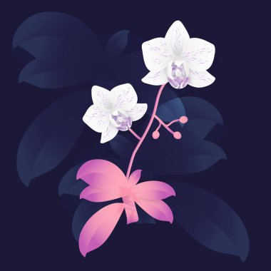 Vektör orkide şube, elle çizilmiş çiçek şekil 