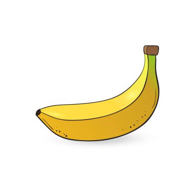 Vektör el çekilmiş muz