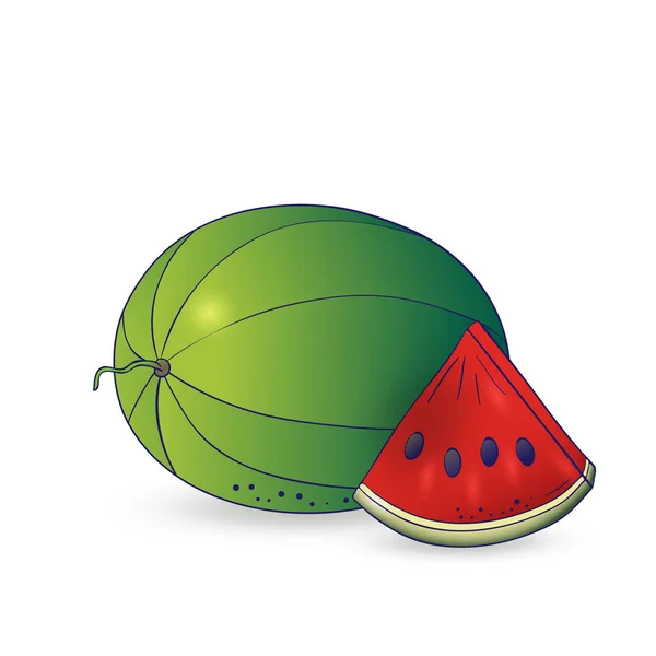 Vektor handgezeichnete Wassermelone. — Stockvektor