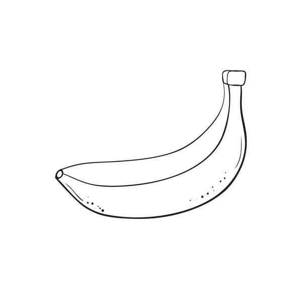 Libro para colorear Vector plátano dibujado a mano — Vector de stock
