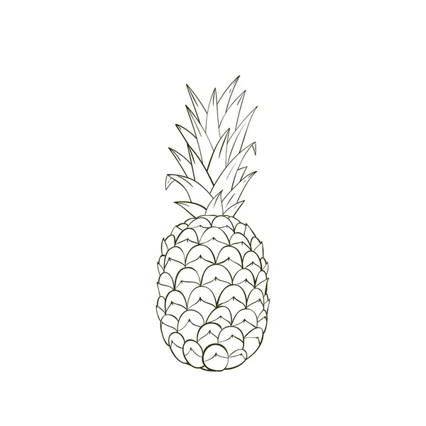 Livre à colorier Ananas vecteur dessiné à la main — Image vectorielle