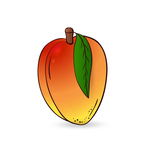 Vecteur de fruits dessinés à la main mangue — Image vectorielle