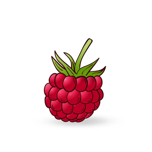 Vecteur dessiné à la main icône framboise — Image vectorielle