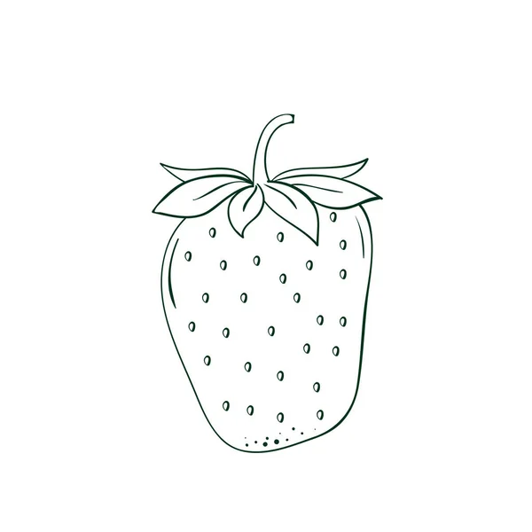 Coloriage vecteur dessiné à la main fraise fruit — Image vectorielle