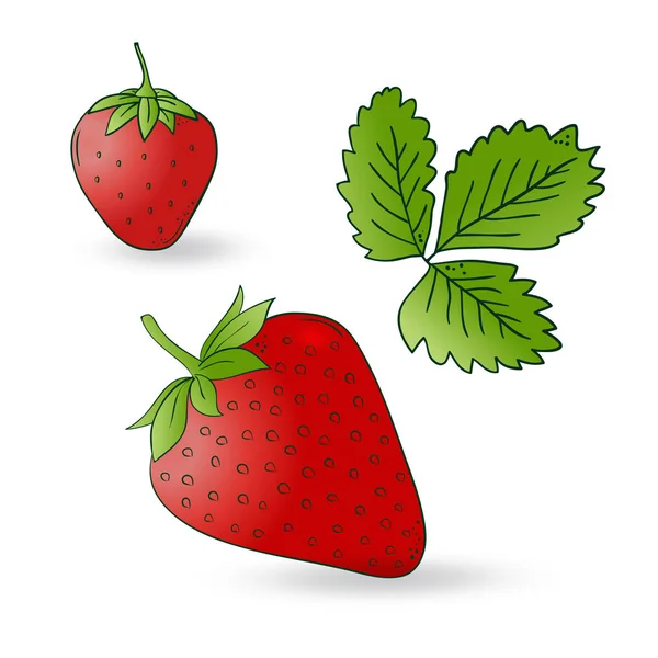 Ensemble de fraises dessiné à la main vectoriel — Image vectorielle