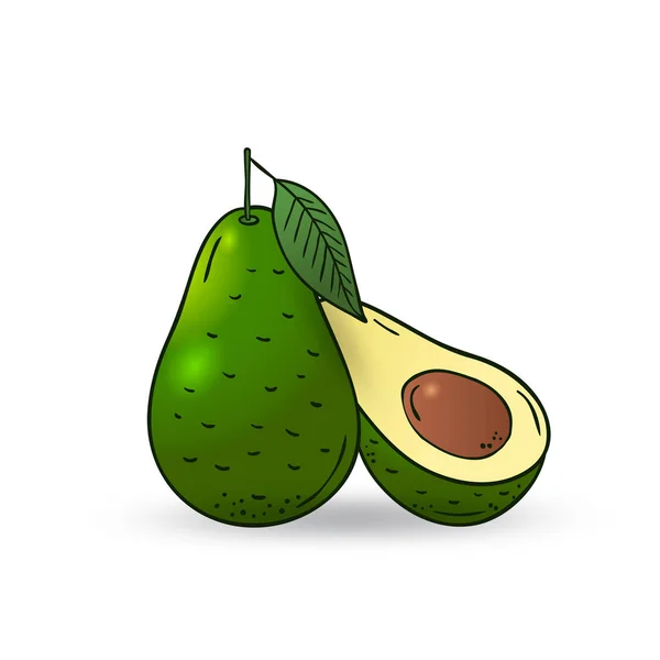 Vektor handgezeichnete Frucht-Avocado. — Stockvektor