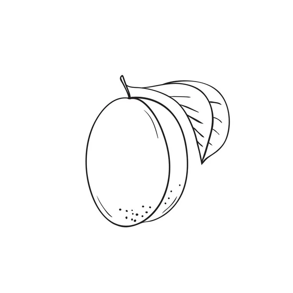 Colorear vector dibujado a mano fruta albaricoque — Vector de stock
