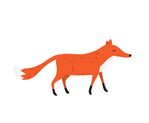 Vector bonito cartoon raposa isolada no branco — Vetor de Stock